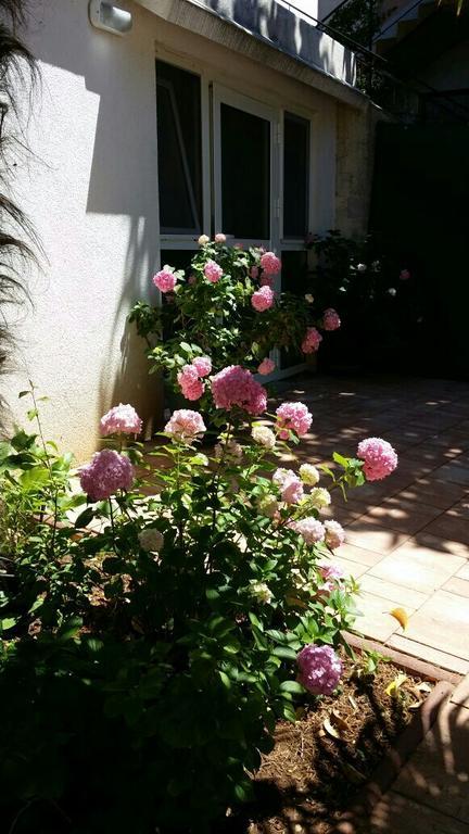 Apartments Palm House Rovinj Ngoại thất bức ảnh
